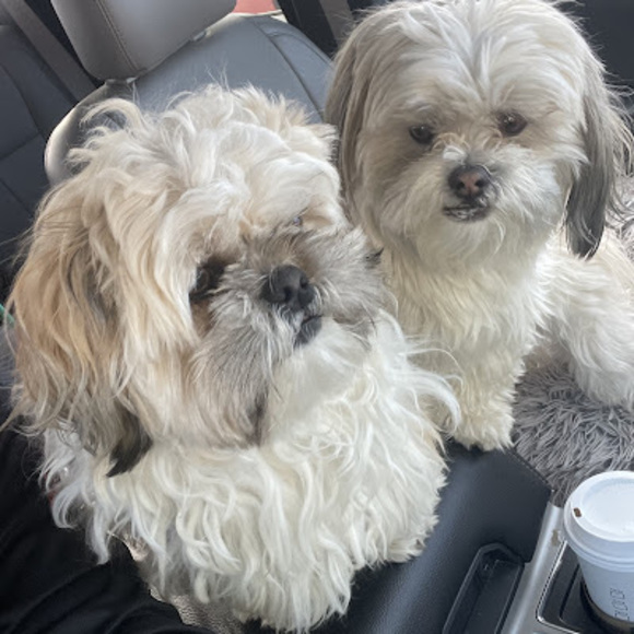 Meet your Posher, Coiin - Picture 1 of 1